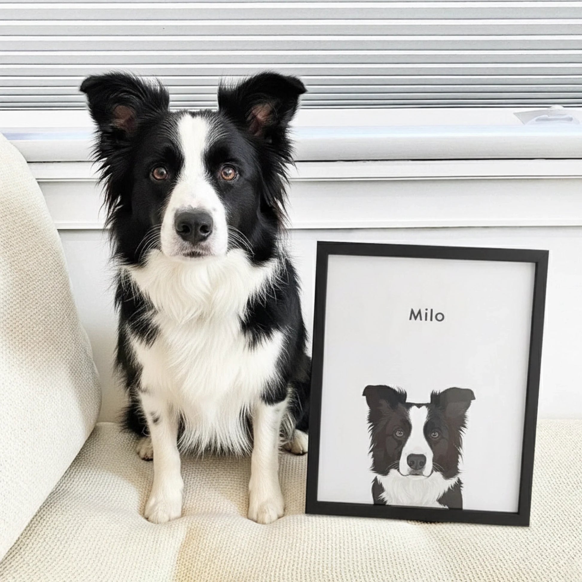 hund2