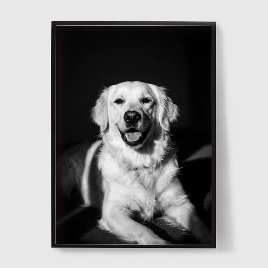 Poster-24″ x 36_ - Black