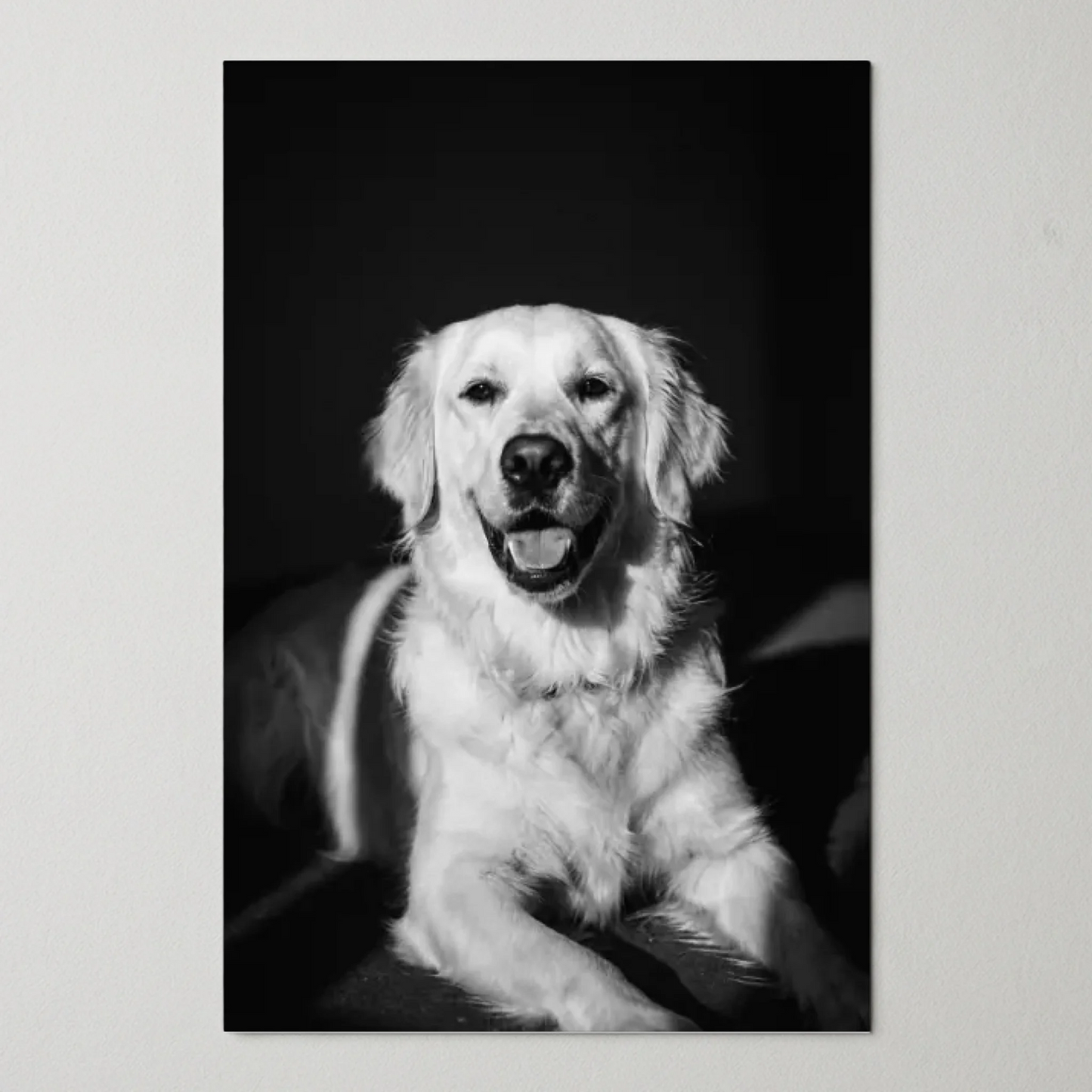 Poster Mockup Pawsney