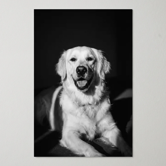 Poster Mockup Pawsney