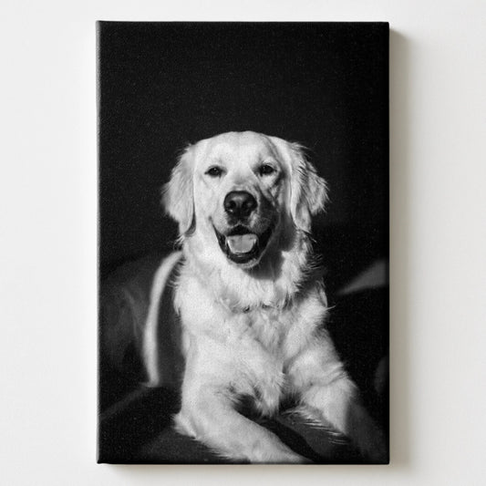 Canvas Mockup 2-3 Pfotly