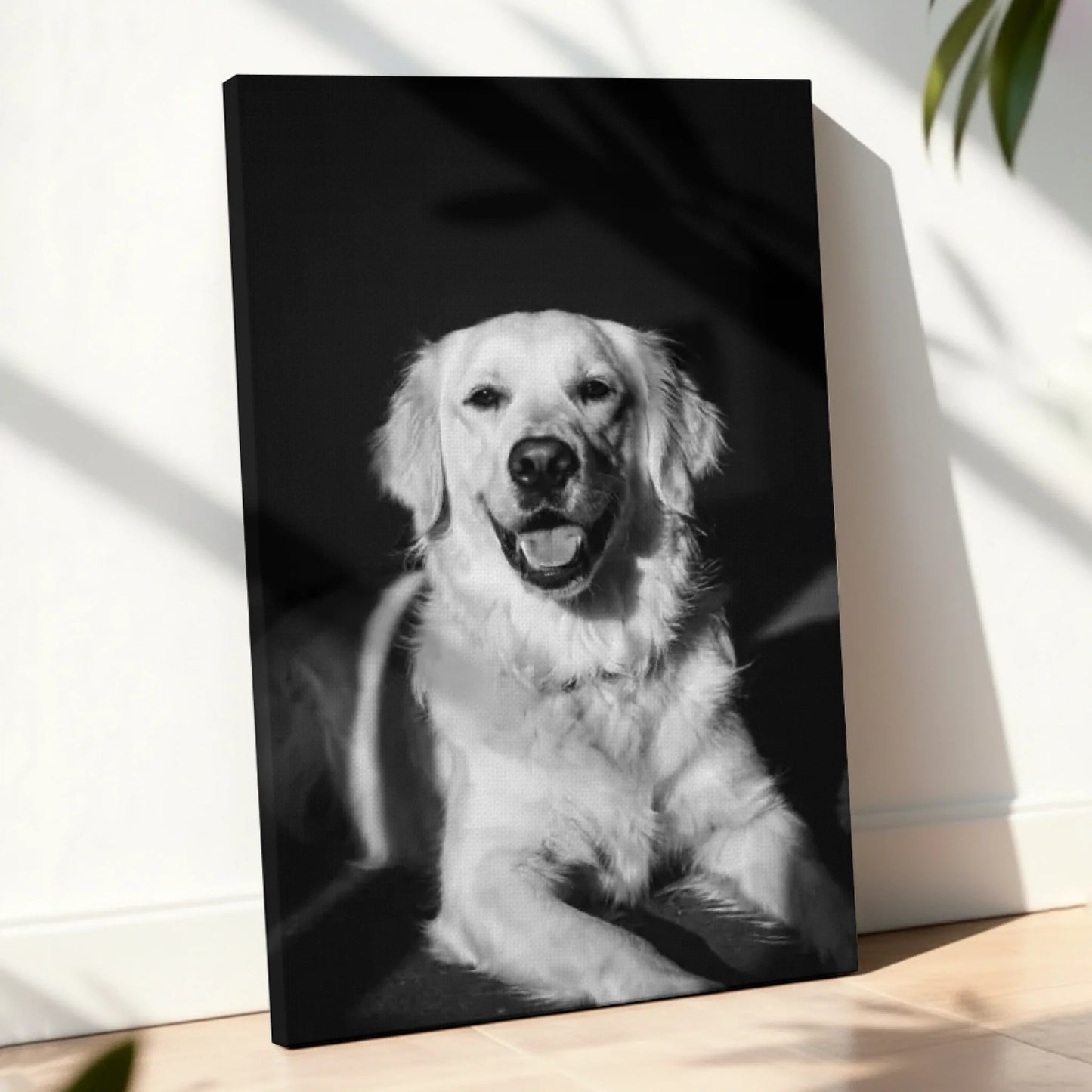 Canvas Mockup Pfotly Site